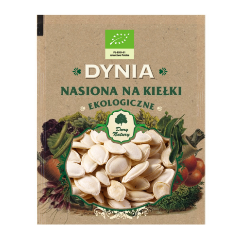 dynia.png