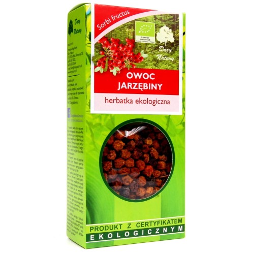 jarzębina.jpg