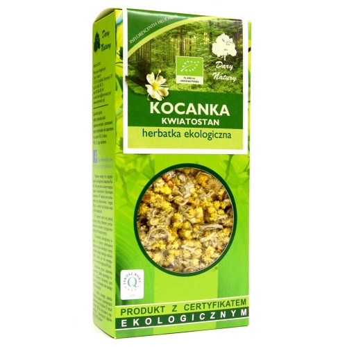 kocanka kwiatostan.JPG