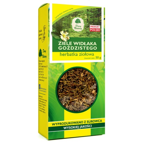 ziele widłaka goździstego.jpg