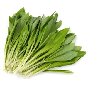 Czosnek niedźwiedzi EKO - świeże liście 1 kg 