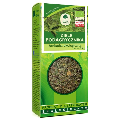 podagrycznik ziele.jpg