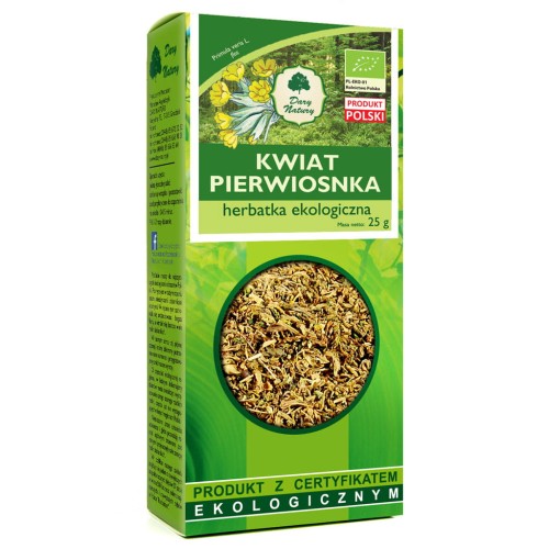 pierwiosnek kwiat.jpg