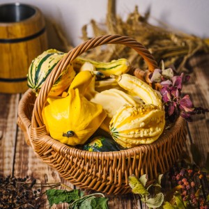 Dynia ozdobna Autumn Wings 3 szt.