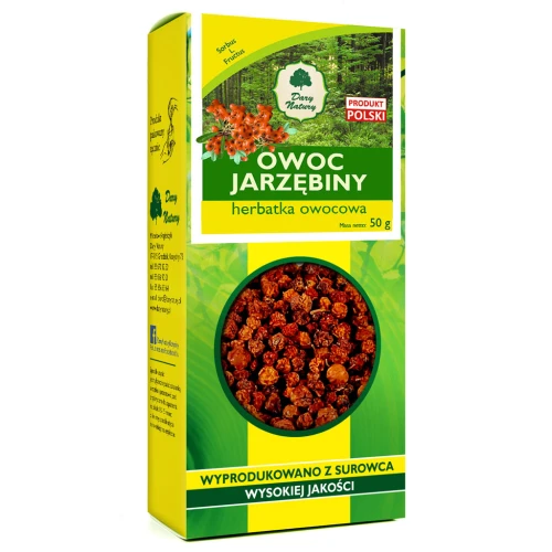 mniszek-korzeń-konwencja.jpg