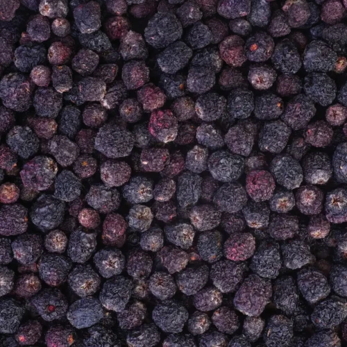 aronia-owoc.jpg