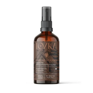 „Zimowe otulenie” 100 ml mgiełka aromaterapeutyczna