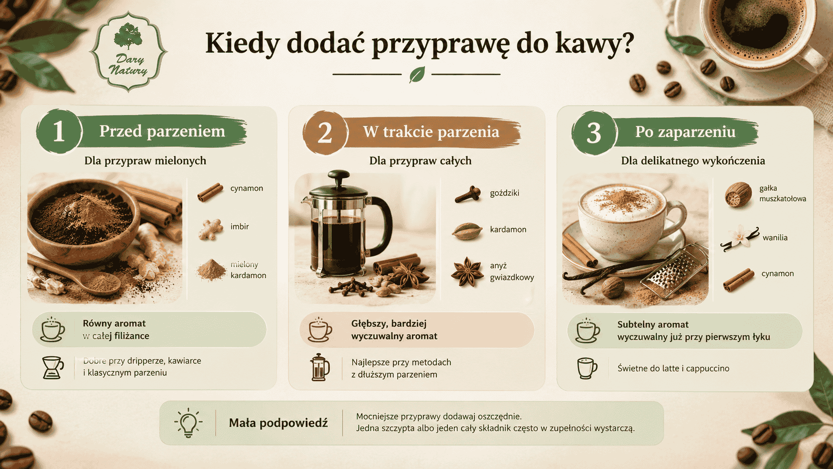 przyprawa do kawy infografika